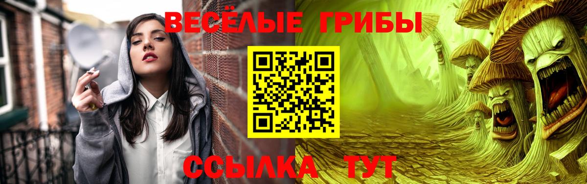 Галлюциногенные грибы GOLDEN TEACHER Кумертау